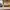 rok balon warna putih photo 1