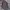 Anti Label Veterano Flannel Shirt photo 1