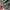 Sweeter lengan balon warna jarang photo 4