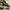 Converse Run Star Motion  photo 2