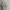 ZARA Off Shoulder Flora top Size: photo 4