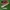 Adidas spezial  photo 1