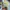 Cosplay Pria green khaki gray blue photo 5
