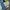 Cosplay Pria green khaki gray blue photo 4
