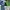 Cosplay Pria green khaki gray blue photo 3