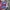 Casual Scarf Pria red blue photo 3