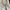 WILSON Excalibur 115 243gr Limited Edition Tennis Racket photo 1