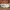 NEW BALANCE 550 SEA SALT CREAM 