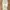 halter dress|forever 21  photo 1