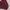 Crewneck Maroon photo 3