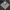Carhartt Streetwear Minimalist Sweatshirt Pria black photo 5