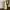 Green beaded gradient maxi dress photo 1
