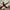 Gucci flat shoes photo 5