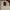 Chanel Classic Double Flap Caviar Beige GHW shoulder bag photo 5