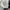 Dickies Minimalist Formal pants Pria navy photo 6