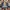 Bomber Jacket Denim Burberry London photo 2