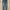 Legging Jeans
