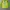 Molex Windbreaker photo 1