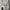 Crewneck Shirt (white) L-XL BTS pop up monochrome photo 2