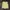 Minimalist Wanita yellow photo 3