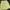 Minimalist Wanita yellow photo 4