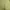 Minimalist Wanita yellow photo 5