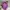 Kipling Casual Backpack Wanita purple photo 6