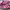 Adidas Casual Sneakers Wanita white pink photo 2