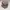 Ellesse Streetwear Casual Hat Pria multicolor photo 8
