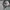 Sweaters Old Money Massimo Dutti Luxury Authentic photo 2