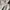 GU x Undercover Camo Cargo Pants size 27-30 photo 6