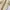Coach sling hand bag in signature cream photo 7