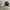 SHOULDER BAG VANS CORDURA BLACK photo 1