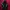 Hoodie Thisisneverthat Spellout