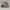 Vans Atwood Khaki brown photo 1