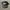 vintage trucker waynes world photo 1