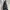 Cath Kidston London 2way Bag Flowers in Navy photo 2