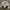 JanSport Vintage Streetwear Sweater Pria white photo 3
