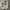 JanSport Vintage Streetwear Sweater Pria white photo 6
