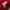 Dickies Streetwear Casual Sweater Pria red photo 6