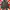 Barbour Vintage Casual Puffer jacket Pria black photo 2