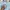 KIRSH Luxury Minimalist Sweater Wanita blue photo 4