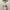 Korean Dress Floral photo 2