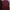 Maroon photo 1