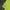 Life Work Luxury Casual T-shirt Pria green photo 4