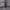 Nike tech Hoodie Grey  photo 4