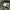 CARGO CAMO SOLDIER KOREA 2007s photo 4