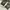 CARGO CAMO SOLDIER KOREA 2007s photo 2