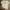 Barbour Y2K Luxury T-shirt Pria gray photo 1