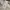 ZARA Vintage Casual Denim jacket Pria cream photo 7